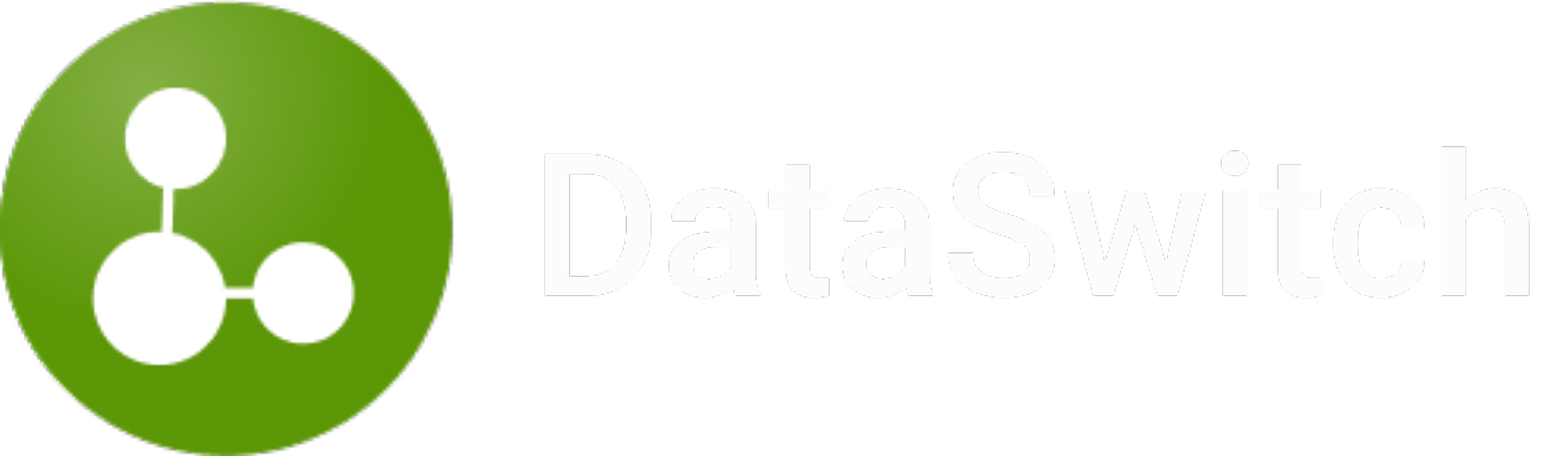 DataSwitch Logo